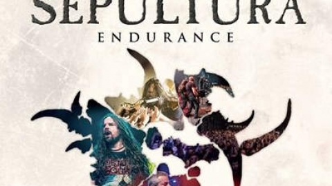 Começa hoje o Festival Internacional do Documentário Musical  em São Paulo