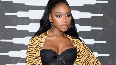 Normani, Halsey e Kacey Musgraves vão de lingerie ao black carpet do desfile de Rihanna