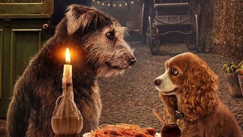 Janelle Monáe divulga clipe para "He's a Tramp", trilha sonora do filme "A Dama e o Vagabundo"